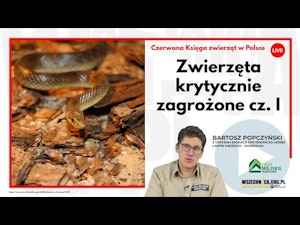 Zwierzęta krytycznie zagrożone cz. I / Bartosz Popczyński