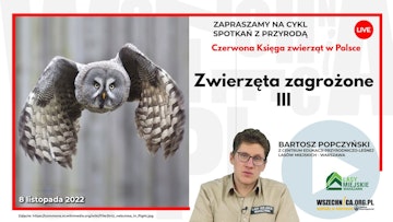 Zwierzęta zagrożone III / Bartosz Popczyński