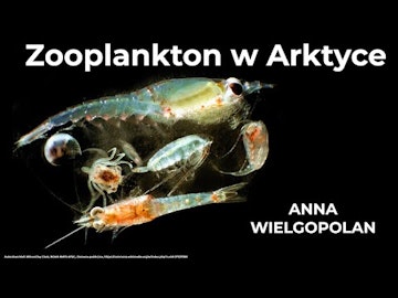 Zooplankton w Arktyce - Anna Wielgopolan