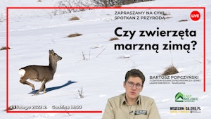 Czy zwierzęta marzną zimą? / Bartosz Popczyński