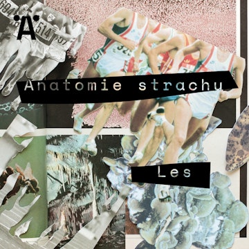 Anatomie strachu E01