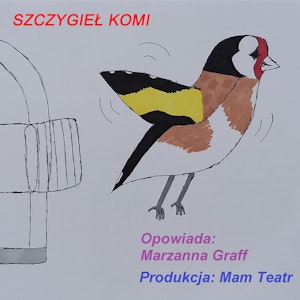 Szczygieł Komi