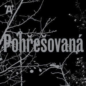 Pohřešovaná E04