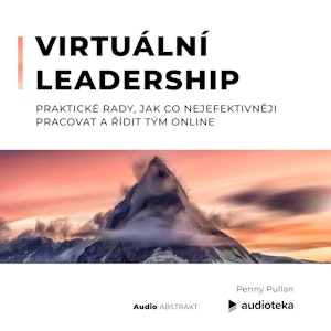 Virtuální leadership. Praktické rady, jak co nejefektivněji pracovat a řídit tým online.