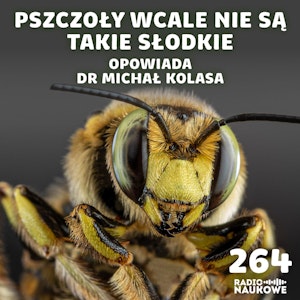 #264 Pszczoły – śmiertelne użądlenia i „słodkie pocałunki” | dr Michał Kolasa, Karolina Głowacka