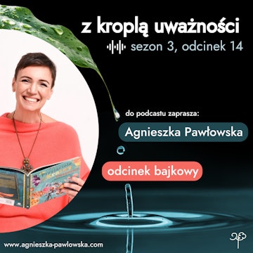 3.14. Bajka „Co by było gdyby?” - o czasie, który minął i życiu, które nadal trwa audiobook, Agnieszka Pawłowska