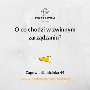 O co chodzi w zwinnym zarządzaniu? Zapowiedź odcinka #044/1