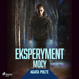 Eksperyment mocy