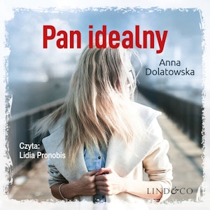 Pan Idealny