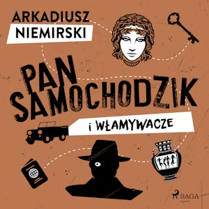 Pan Samochodzik i włamywacze, Arkadiusz Niemirski