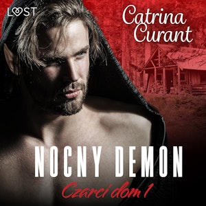 Czarci dom 1: Nocny demon – seria erotyczna