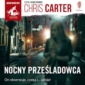 Nocny prześladowca