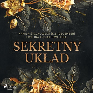 Sekretny układ