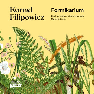 Formikarium, czyli w moim świecie mrówek. Opowiadania