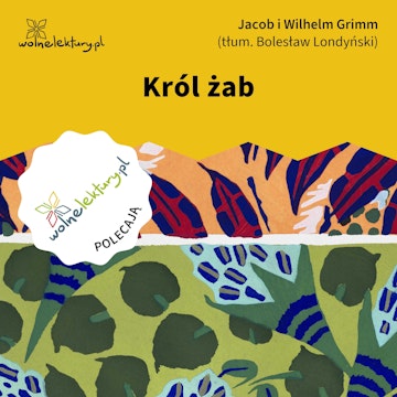 Król żab audiobook, Bracia Grimm