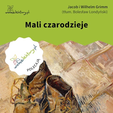 Mali czarodzieje audiobook, Bracia Grimm