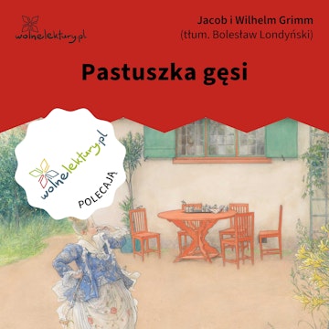 Pastuszka gęsi audiobook, Bracia Grimm