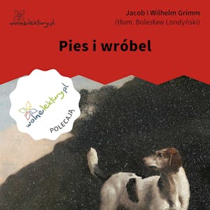 Pies i wróbel, Bracia Grimm