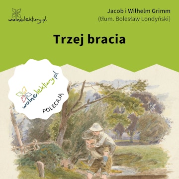 Trzej bracia audiobook, Bracia Grimm