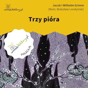 Trzy pióra, Bracia Grimm