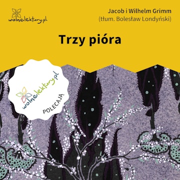 Trzy pióra audiobook, Bracia Grimm