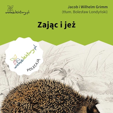 Zając i jeż, Bracia Grimm