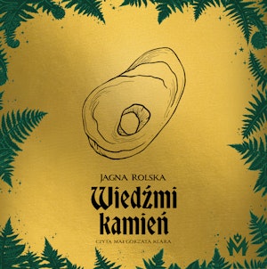 Wiedźmi kamień