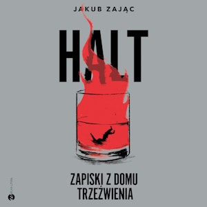 HALT. Zapiski z domu trzeźwienia