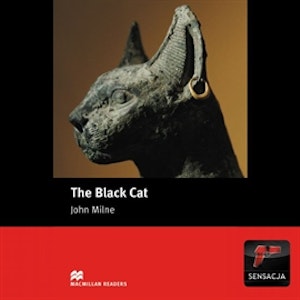 The Black Cat