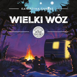 Wielki wóz