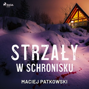 Strzały w schronisku