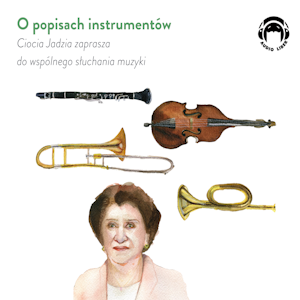 O popisach instrumentów