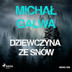 Dziewczyna ze snów, Michał Gałwa