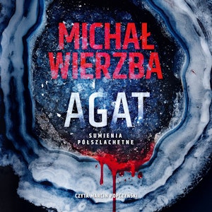 Agat. Sumienia półszlachetne, Michał Wierzba