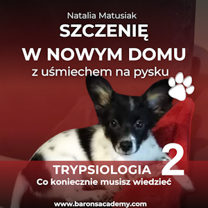 Szczenię w nowym domu z uśmiechem na pysku. Część 2: co koniecznie musisz wiedzieć