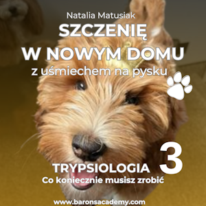 Szczenię w nowym domu z uśmiechem na pysku. Część 3: co koniecznie musisz zrobić