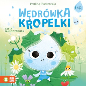 Wędrówka kropelki