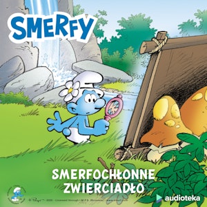 Smerfochłonne zwierciadło