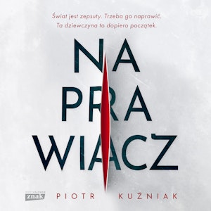 Naprawiacz