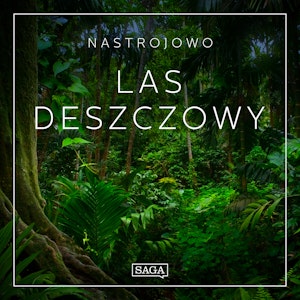 Nastrojowo - Las Deszczowy