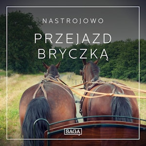 Nastrojowo - Przejazd Bryczką