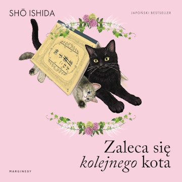 Zaleca się kolejnego kota, Shō Ishida