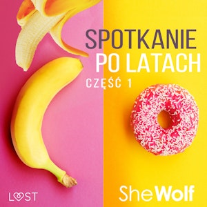 Spotkanie po latach 1 – opowiadanie erotyczne