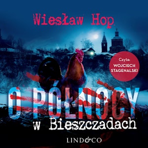 O północy w Bieszczadach