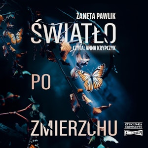 Światło po zmierzchu