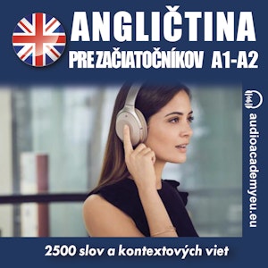 Angličtina - slovná zásoba pre začiatočnikov A1, A2