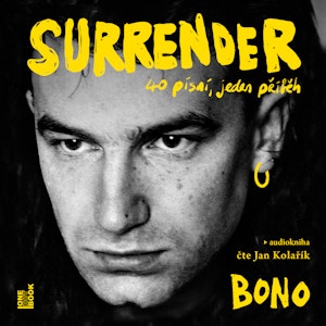 Surrender: 40 písní, jeden příběh