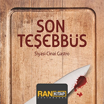 Son Teşebbüs