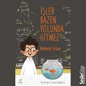 İşler Bazen Yolunda Gitmez