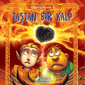 Elflerin Kaderi 2: Taştan Bir Kalp